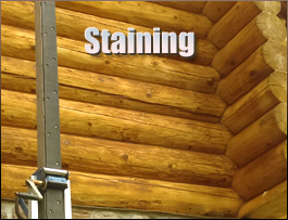  Stony Ridge, Ohio Log Home Staining